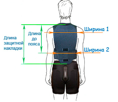 рекомендации по выбору размера защиты спины Бионт