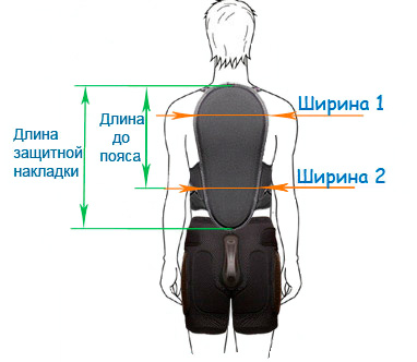 рекомендации по выбору размера защиты спины Бионт